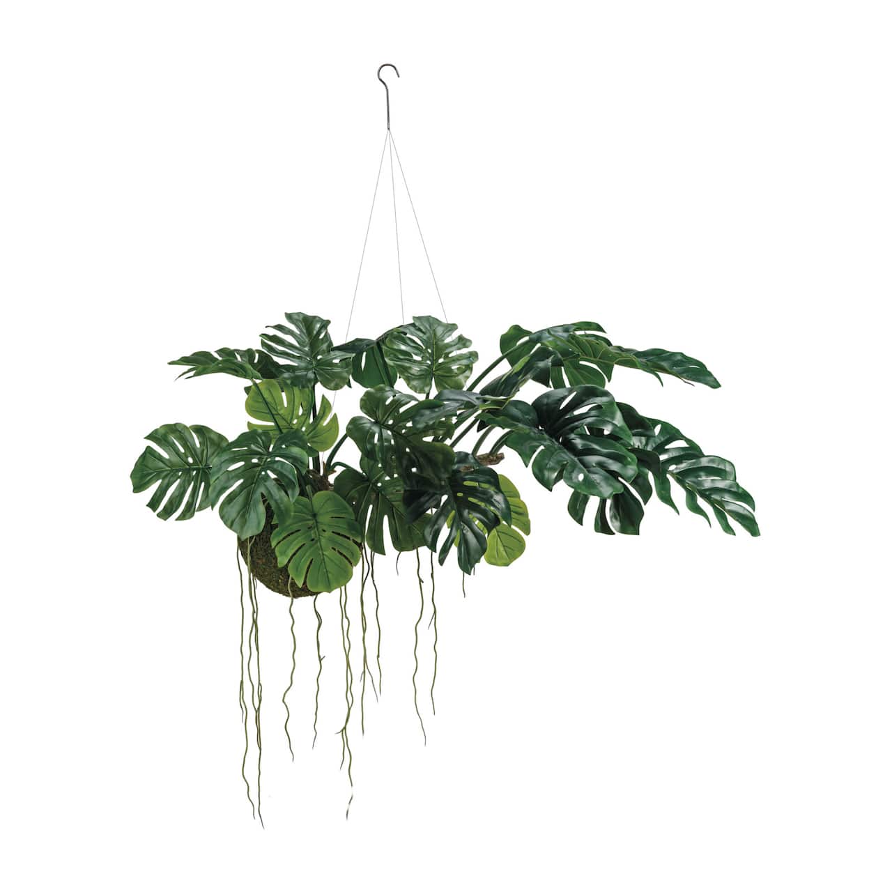Hello Honey® 51" Lush Green Hanging Monstera Kokedama